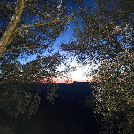 La Terraza Ξενοδοχείο Μπανιόλες Εξωτερικό φωτογραφία