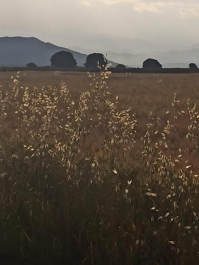 La Terraza Ξενοδοχείο Μπανιόλες Εξωτερικό φωτογραφία