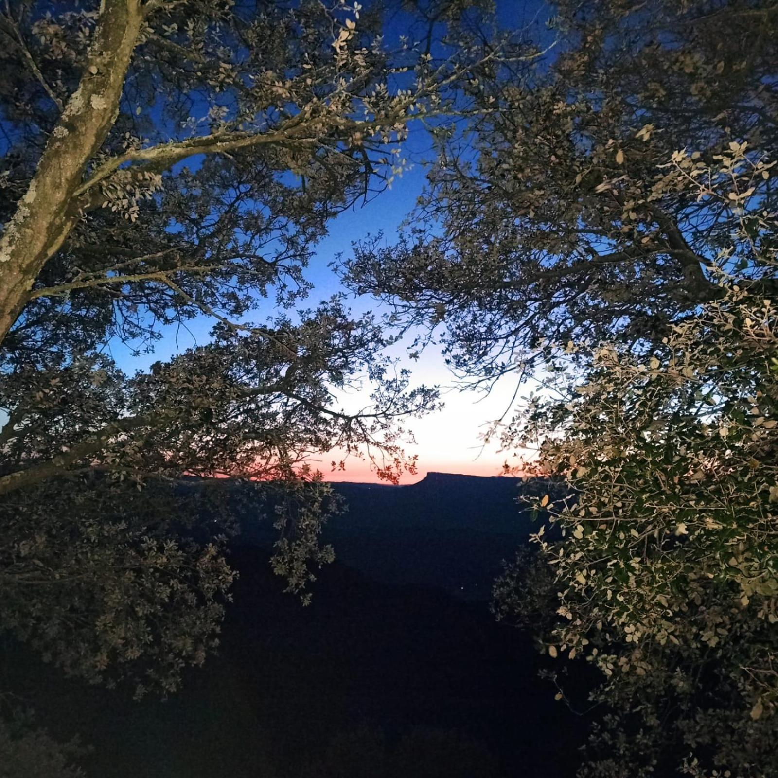 La Terraza Ξενοδοχείο Μπανιόλες Εξωτερικό φωτογραφία